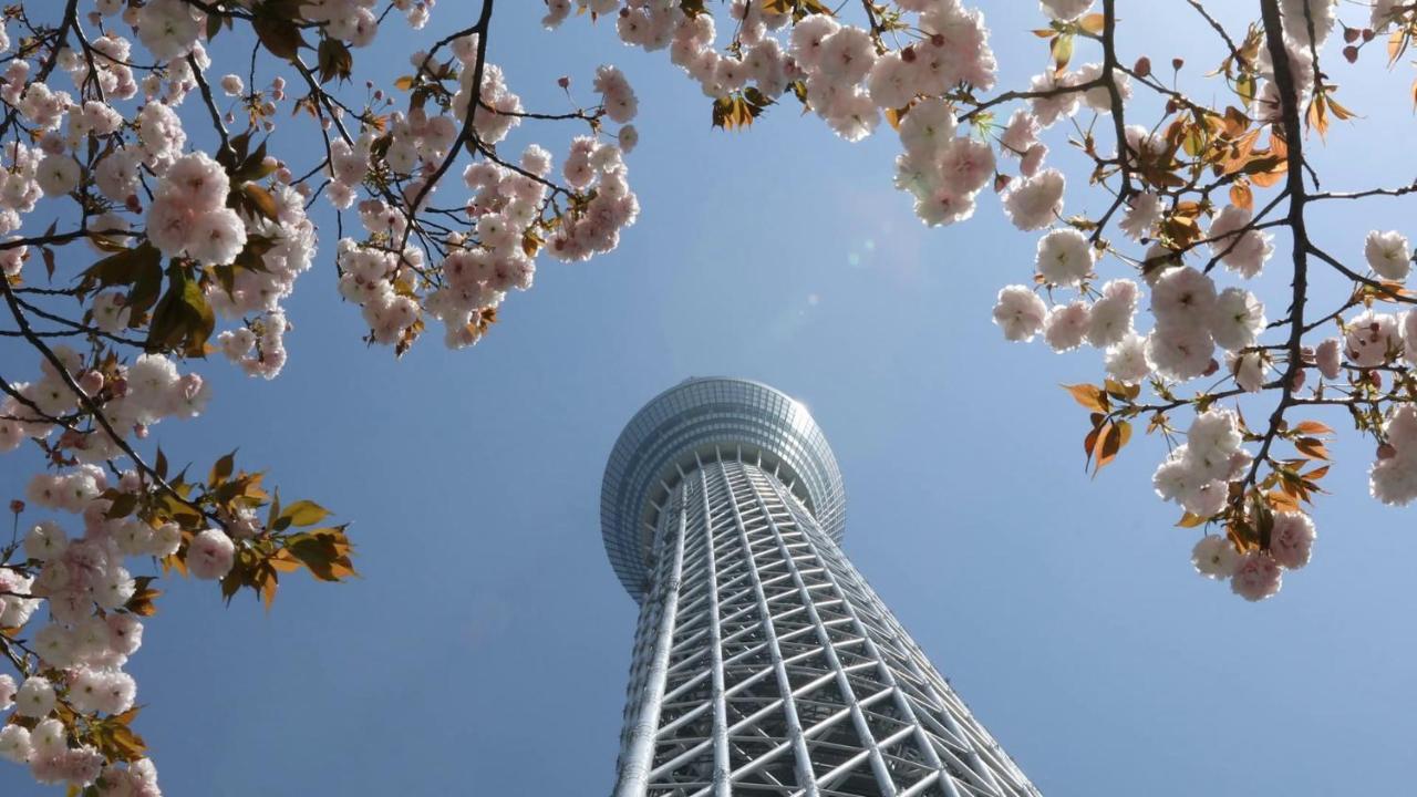 Apartment Zaito Skytree Economy Inn-yokokawaii 宅东东京晴空塔舒适旅馆-横川ii号店 *