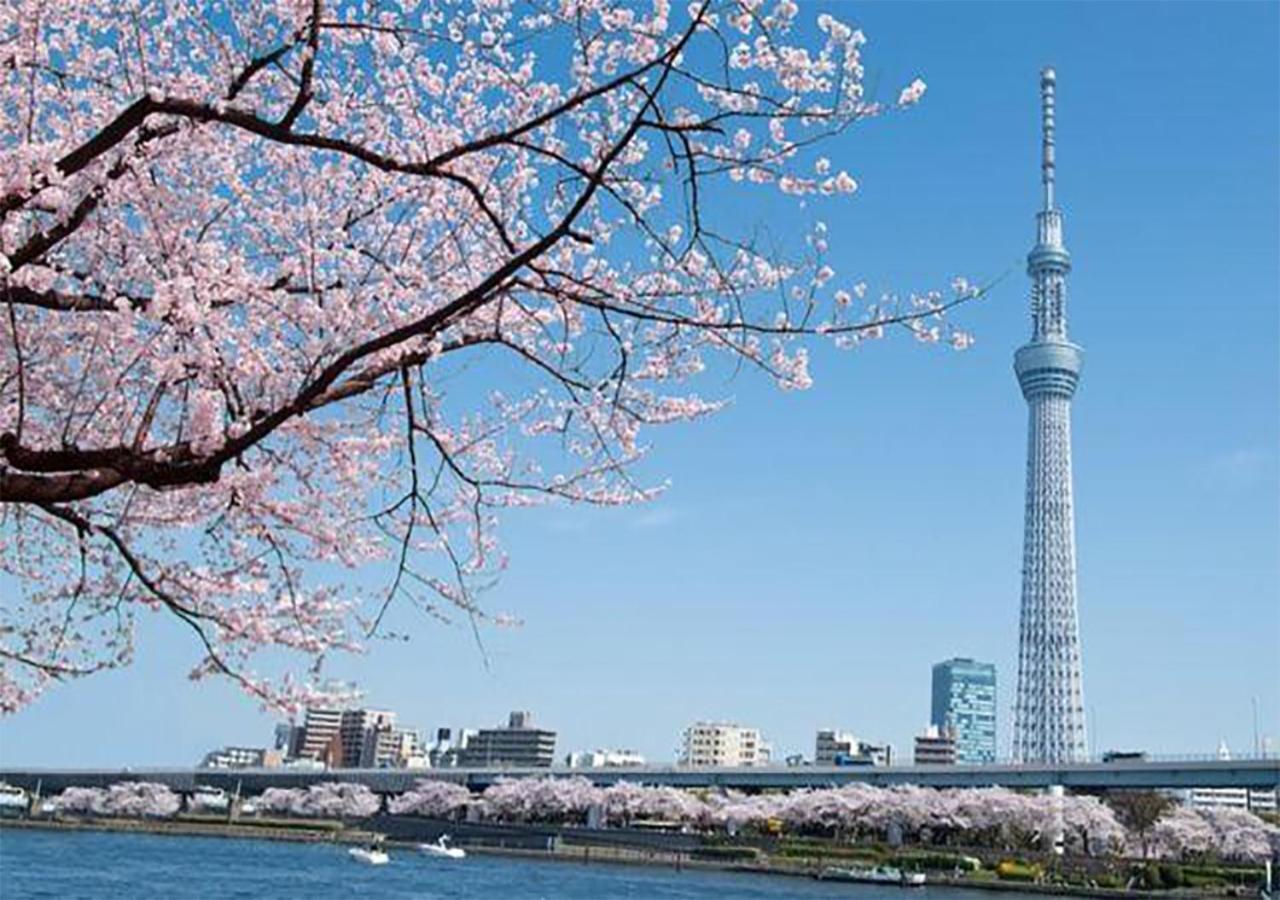 Zaito Skytree Economy Inn-yokokawaii 宅东东京晴空塔舒适旅馆-横川ii号店 Apartment
